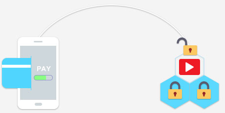 drm-x overview