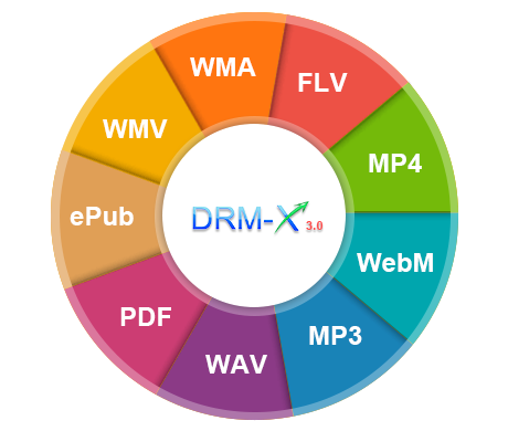 Support Audio, Video, PDF and ePub